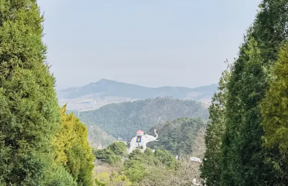 天香樓水餡包孑