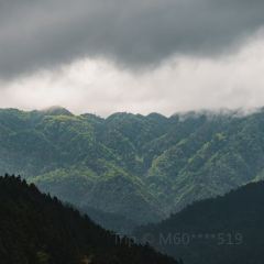 乐里villa设计师·独栋花园民宿(凯里南高铁站店)·乐里咖啡 User Photo