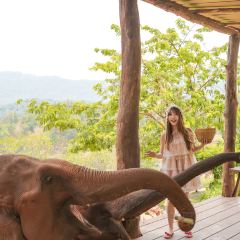 Elefin Farm & Cafe เอเลฟิน ฟาร์ม แอนด์ คาเฟ่ User Photo