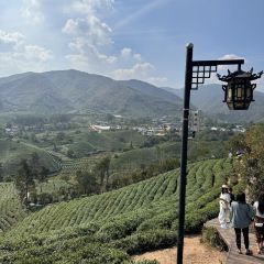 WEN XIN CHA ZHUANG YUAN User Photo