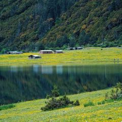 Yu Ni Yi Qi Fish Together Ecological Aquarium (Lugu Lake Branch) User Photo