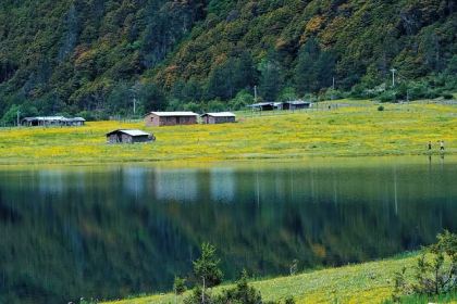Yu Ni Yi Qi Fish Together Ecological Aquarium (Lugu Lake Branch)