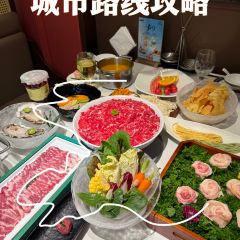 鼎尚养生火锅店 User Photo