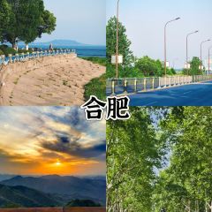 爺爺的土缽菜張用戶圖片