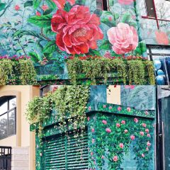 山茶花农家院 User Photo