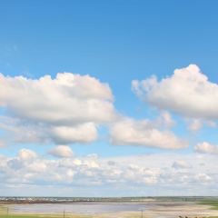 MO RI GE LE MENG GU DA YING User Photo