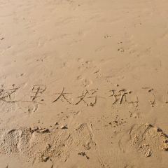 凉峙小酒馆·日咖夜酒 User Photo