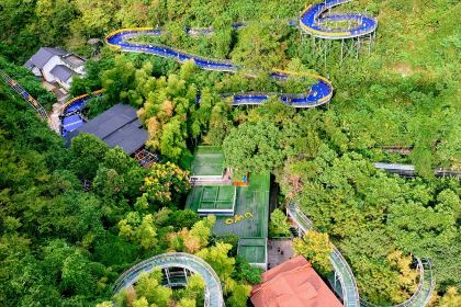 Tonglurendapaidang (yangguang)