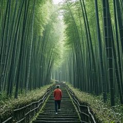 唐宴（青果巷店）張用戶圖片