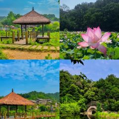 Tangjichougan(jinyinghoujiedian) 여행 사진