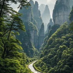 橘子洲头(天仙路店) User Photo