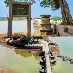 Hall Thing (Licheng) User Photo