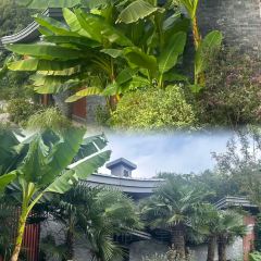 溧陽澗谷溫德姆至尊豪廷溫泉飯店·鐵板燒餐廳張用戶圖片