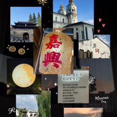 Seeing Tea User Photo