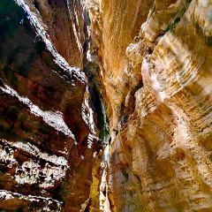 重庆老厨房(白帝城店) User Photo