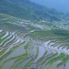 荣村农家乐 User Photo