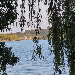 小三毛流浪处明清酒家(南北湖风景区店) User Photo