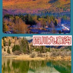 卡万金特色藏餐 User Photo