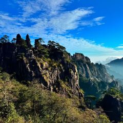 秀嫂挞粿 User Photo