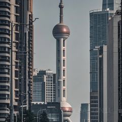 FISHERMAN'S DOCK User Photo