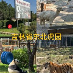 曹师傅砂锅麻辣烫 User Photo