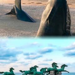 海岛日记(养马岛店) User Photo