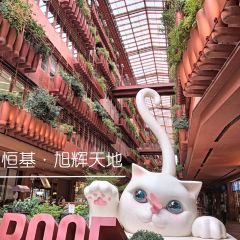 CAMINETTO User Photo