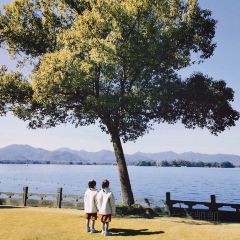 大井巷 User Photo