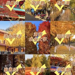 豆夫酥酥臭名远扬臭豆腐(总店) User Photo