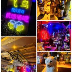 丽江飞鸟民谣酒吧(束河店) User Photo