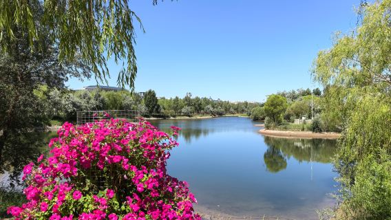 Heihe Wetland Park