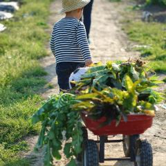 良壤有机庄园 User Photo