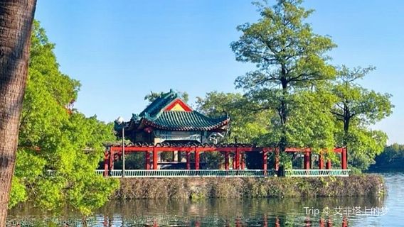Zhaoqing