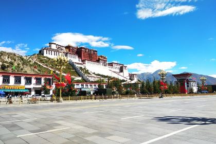 拉萨雪莲花观景酒店·雪莲花观景藏餐厅