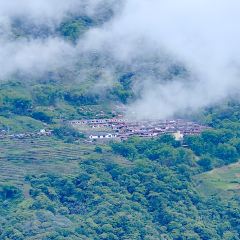 鸿发石锅城 User Photo