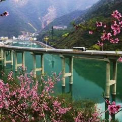 深渡河畔 User Photo