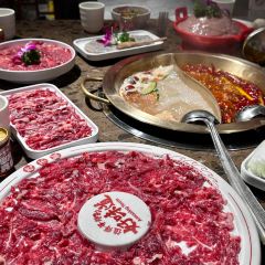 小龙坎火锅(古城店) User Photo