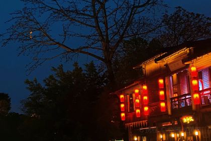 草本汤(绿洲店)