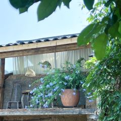 青禾文创田院 User Photo