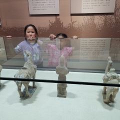 大明府 User Photo