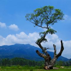 龙山餐厅 User Photo