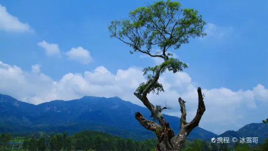 龍山餐廳