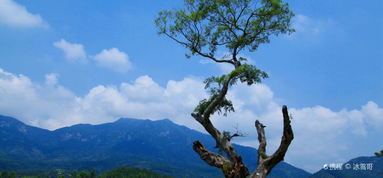 龙山餐厅