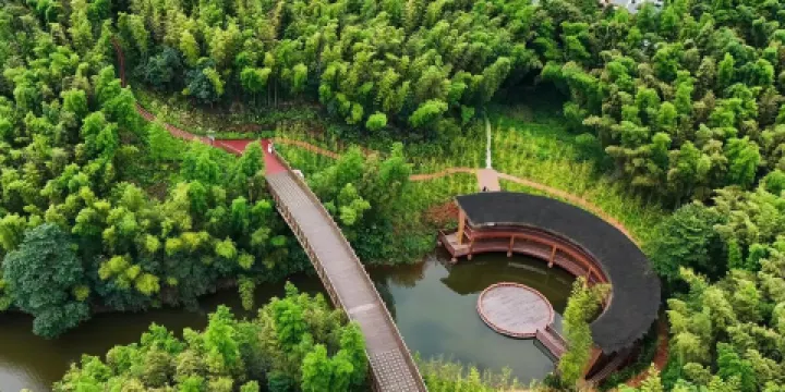 山村飯店.特色全竹宴