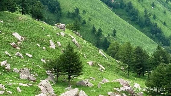 Feihu Valley