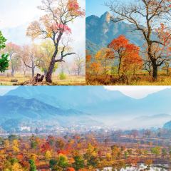 Sage Hall Homestay User Photo