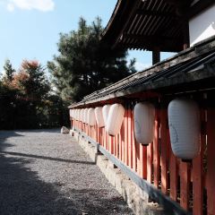 Irori Beniya User Photo