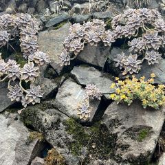 木言木语咖啡餐吧 User Photo