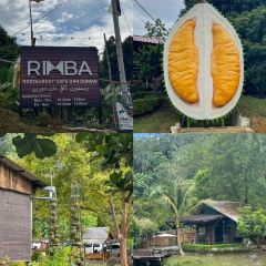 Rimba By Dking ( Durian & Restaurant ) User Photo