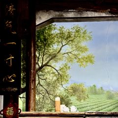 早茶街 User Photo